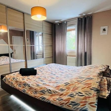 Appartement Proche Centre Ville Avec Parking Gratuit Annecy Exterior foto